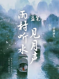 盗笔：雨村听水见月声