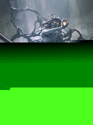 霍格沃兹的渡鸦使者