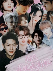 NPC：内娱男神收割机